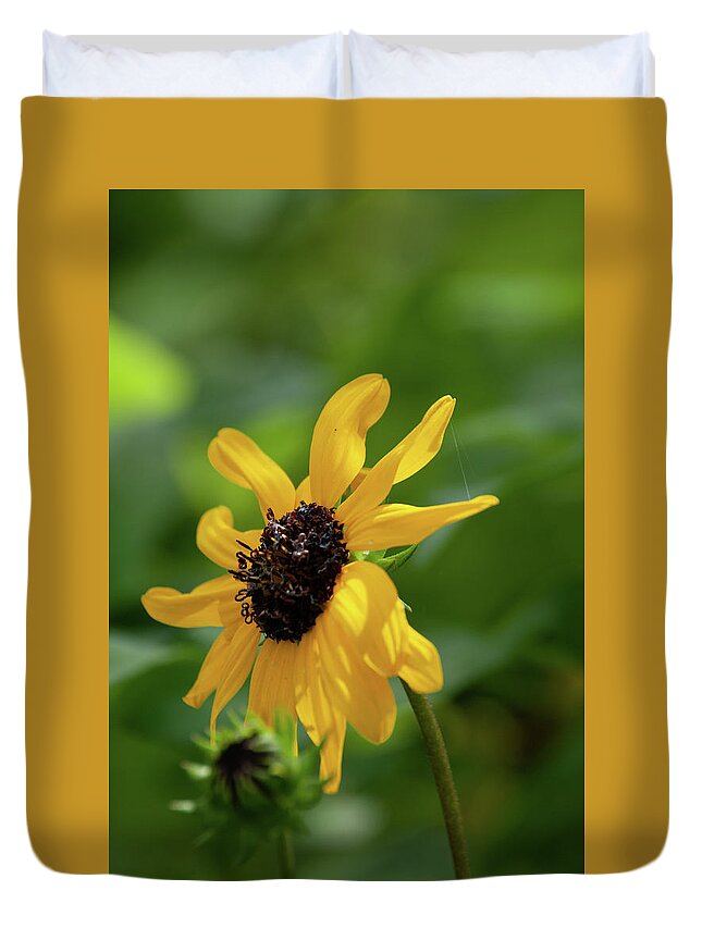 Black-eyed-susan Duvet Cover featuring the photograph Black Eyed Susan by Pamela Williams