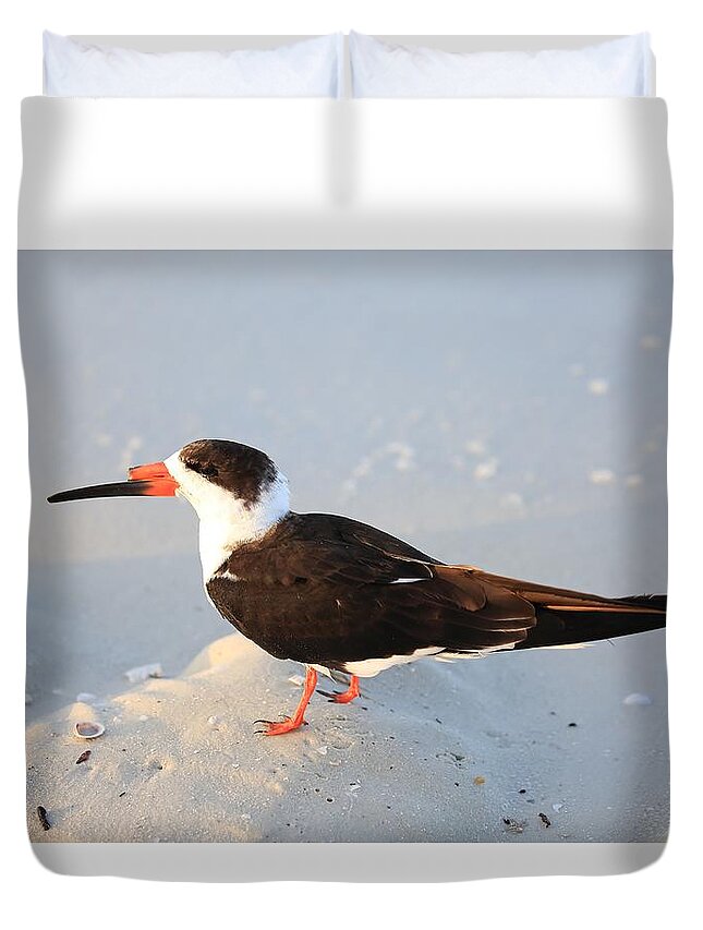 Black Skimmers Duvet Cover featuring the photograph Black Skimmer by Mingming Jiang