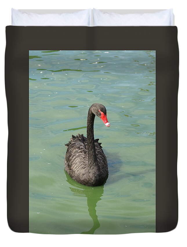  Duvet Cover featuring the photograph Black Swan by Heather E Harman