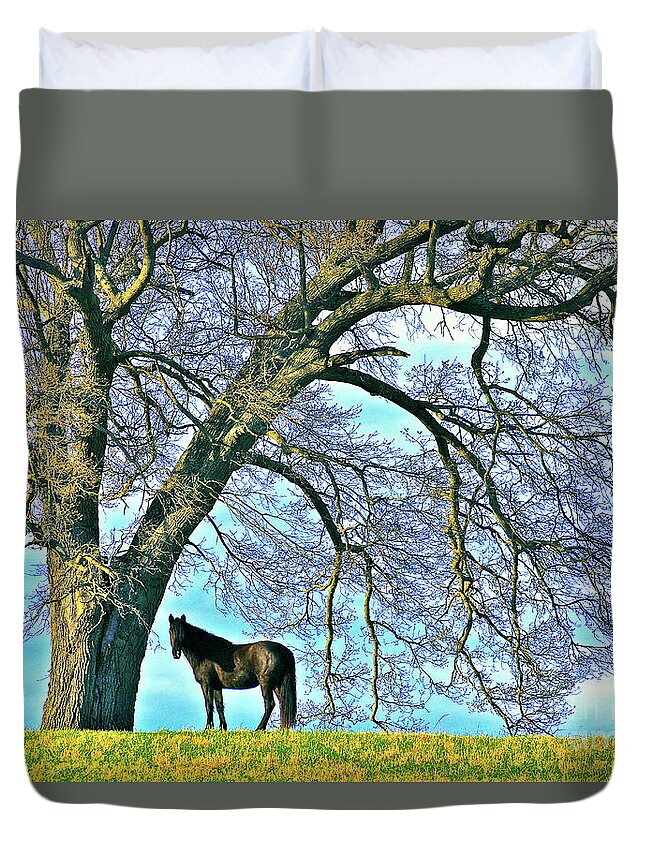 Black Tennessee Stallion Horse Duvet Cover featuring the photograph Black Tennesee Stallion Horse on Hilltop by The James Roney Collection