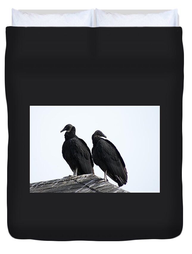  Duvet Cover featuring the photograph Black Vultures by Heather E Harman