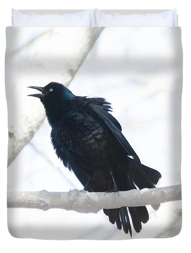 Blackbird Duvet Cover featuring the photograph Blackbird Singing by Jim Signorelli