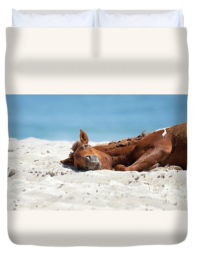 New Year Resolutions Duvet Cover featuring the photograph Bliss - Catching some sun by Rehna George