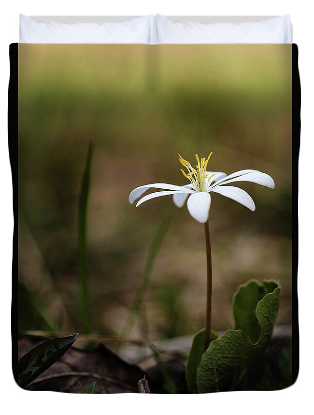 Bloodroot Duvet Cover featuring the photograph Bloodroot by Linda Shannon Morgan