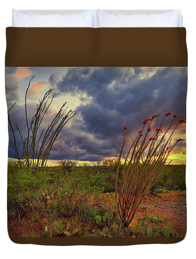 Ocotillo Duvet Cover featuring the photograph Blooming Ocotillos at Sunset by Chance Kafka