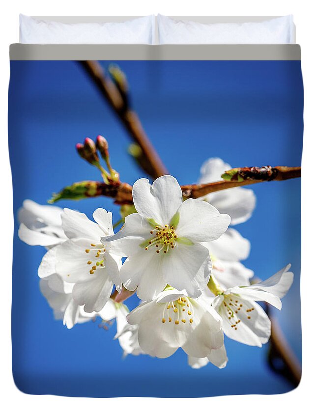 Cherry Duvet Cover featuring the photograph Blossoms by David Beechum