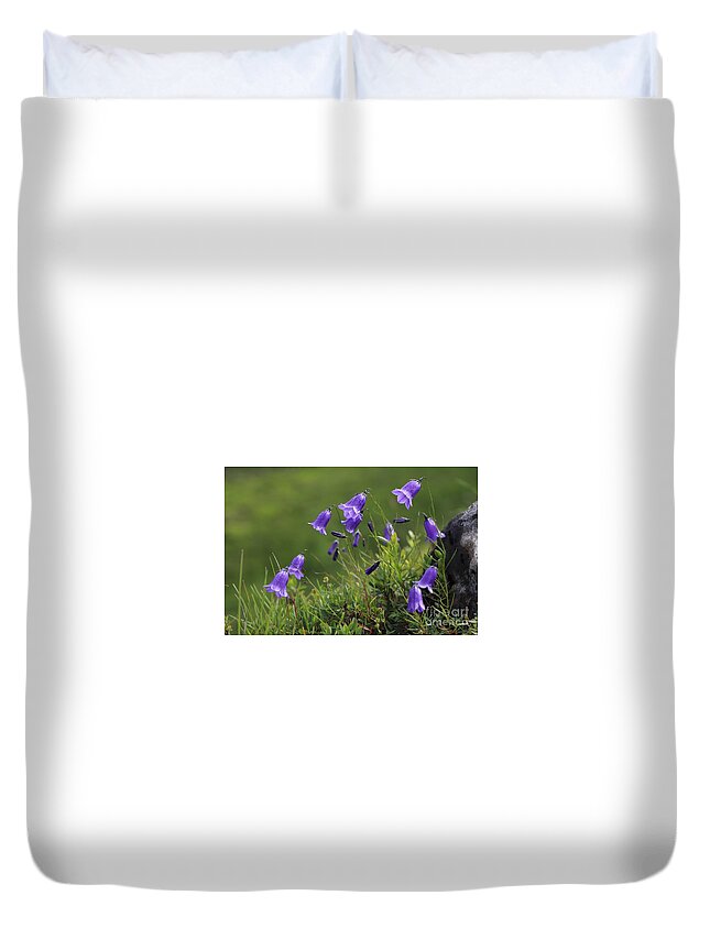 Flowers Duvet Cover featuring the photograph Blue bells by Julia Bernardes