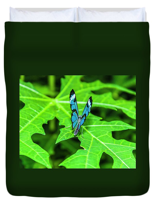 Butterflies Duvet Cover featuring the photograph Blue Butterfly by David Beechum