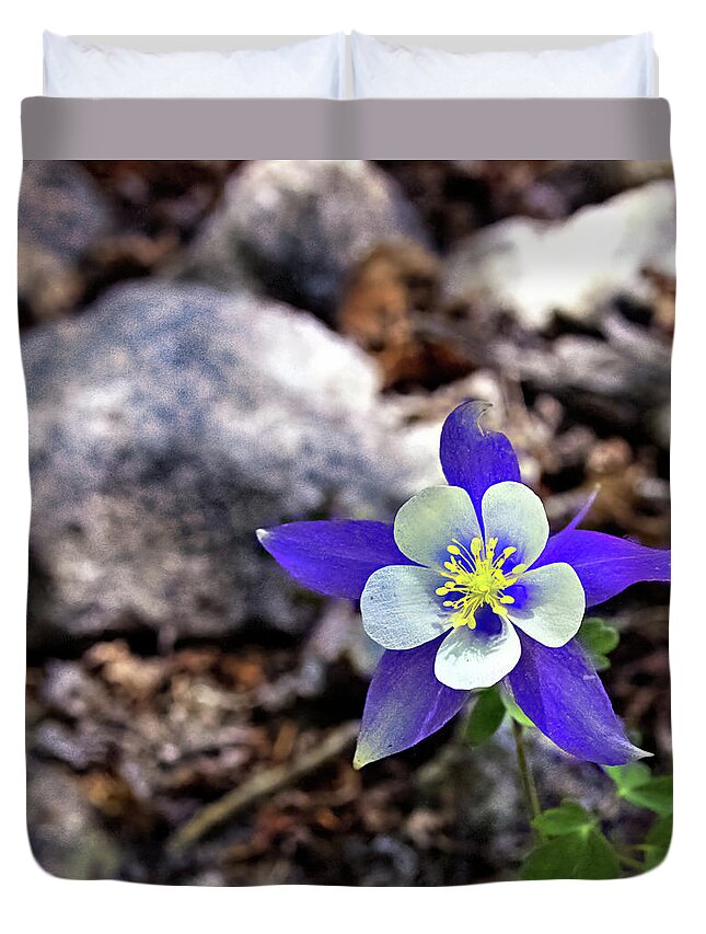 Columbine Duvet Cover featuring the photograph Blue Columbine by Bob Falcone
