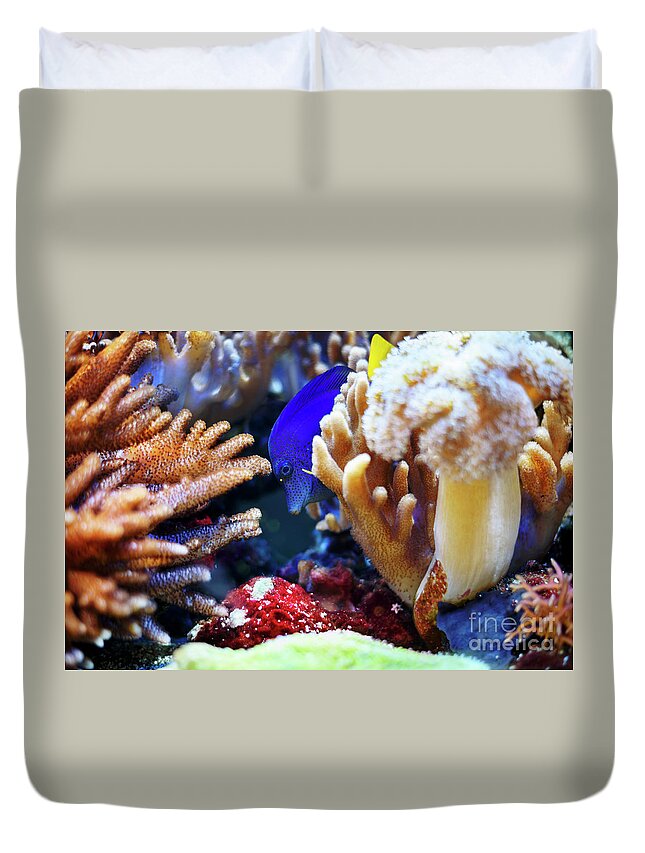 Fish Duvet Cover featuring the photograph Blue fish by Jelena Jovanovic