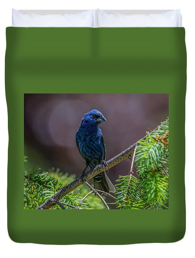 Bird Duvet Cover featuring the photograph Blue Grosbeak by Cathy Kovarik