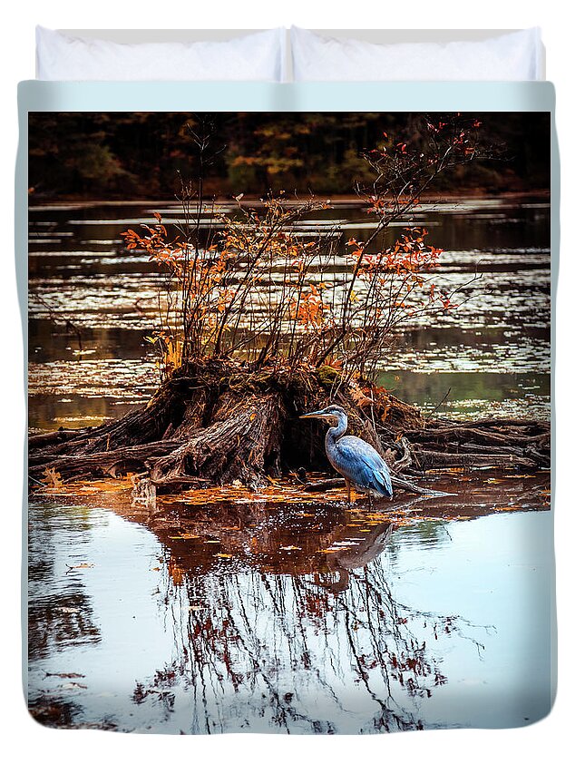Blue Heron Duvet Cover featuring the photograph Blue Heron Autumn scene 2 by Lilia S