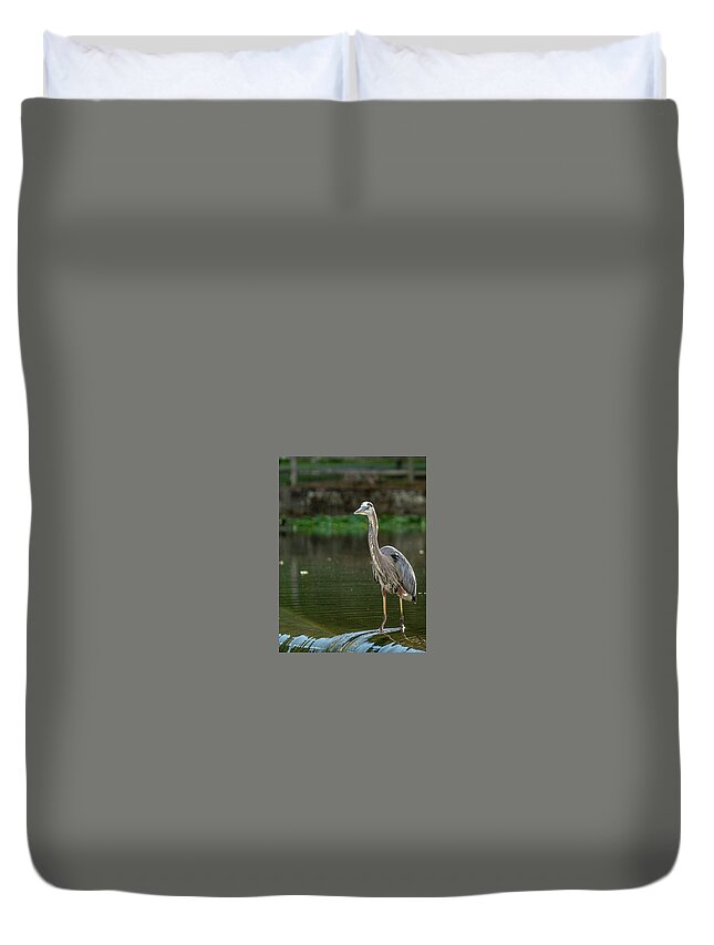 Blue Heron Duvet Cover featuring the photograph Blue Heron in Clinton Township by GeeLeesa