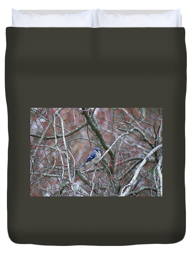 Duvet Cover featuring the photograph Blue Jay by Heather E Harman