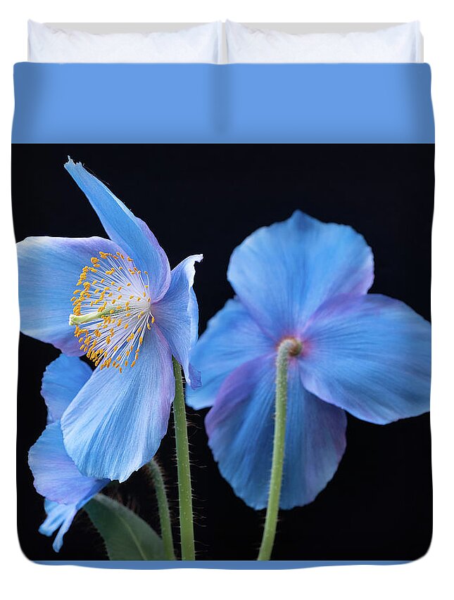 Longwood Gardens Duvet Cover featuring the photograph Blue Poppy by Georgette Grossman