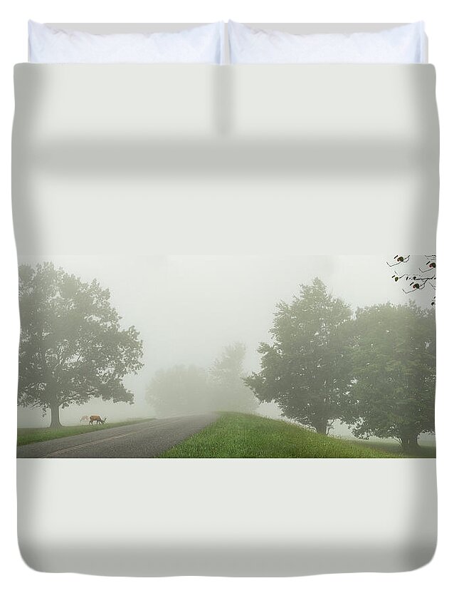 Mountains Duvet Cover featuring the photograph Blue Ridge Fog and Deer panorama 1021 by Dan Carmichael