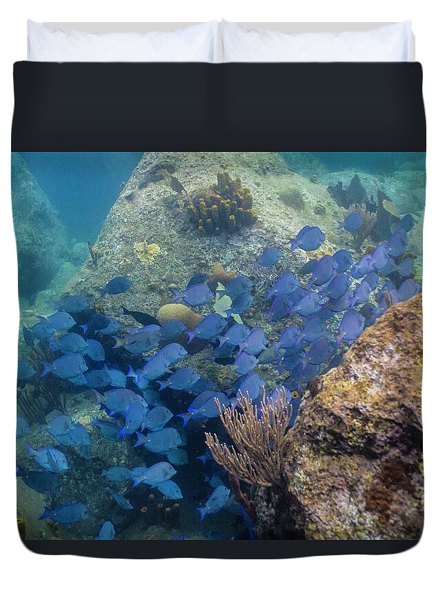 Ocean Duvet Cover featuring the photograph Blue School by Lynne Browne