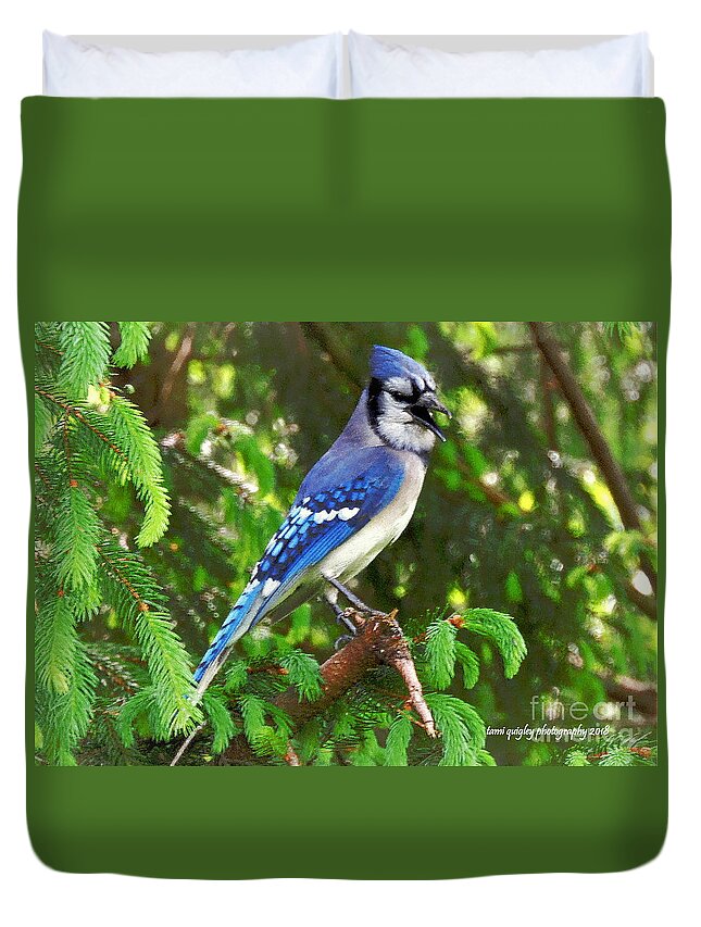 Blue Jay Duvet Cover featuring the photograph Blues Singer by Tami Quigley