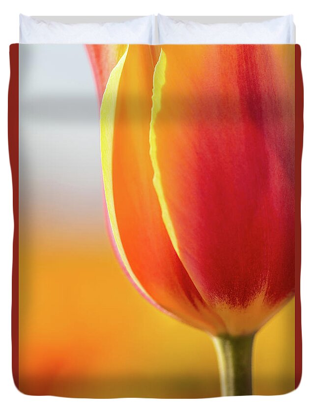Tulip Duvet Cover featuring the photograph Blushing Beauty by Laura Roberts