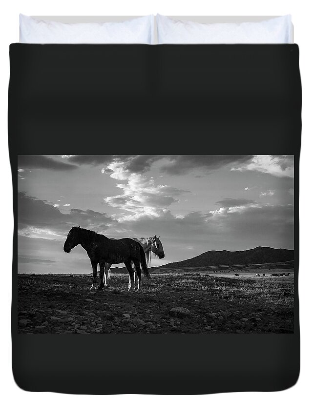 Black And White Duvet Cover featuring the photograph BnW Gandalf and Buddy by Dirk Johnson