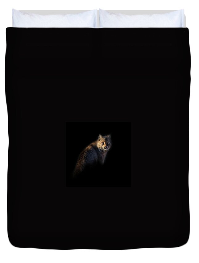 Square Duvet Cover featuring the photograph Bobcat Portrait by Bill Wakeley