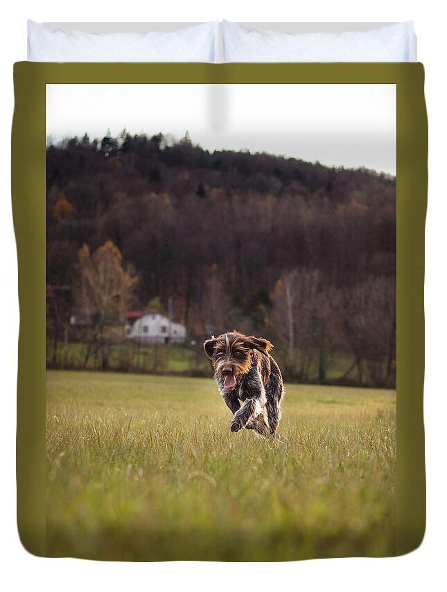 Bohemian Wire Duvet Cover featuring the photograph Bohemian wire dog by Vaclav Sonnek