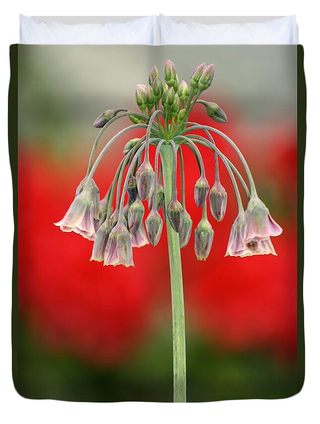 Flowers Duvet Cover featuring the photograph Bokeh Bloom by Kimberly Furey