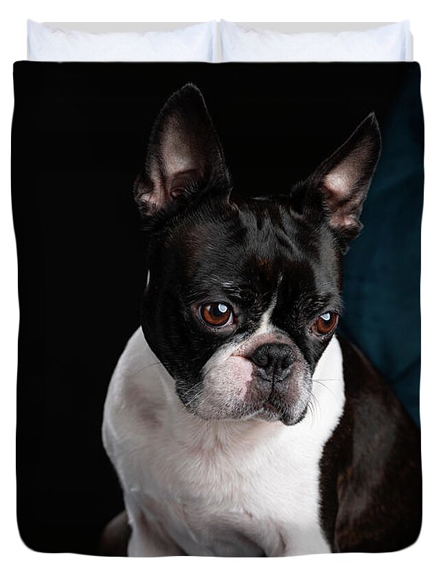 Boston Terrier Duvet Cover featuring the photograph Boston Terrier by Nailia Schwarz