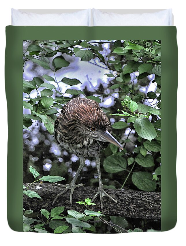 Bird Duvet Cover featuring the photograph Botaurus lentiginosus by Mike Martin