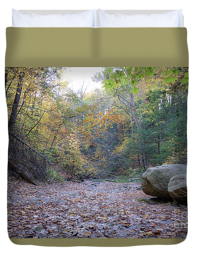 Nature Duvet Cover featuring the photograph Botsford Nature Preserve 27 by William Norton