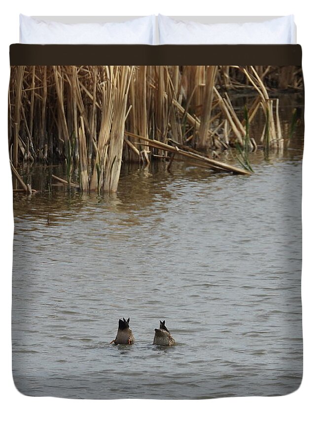Ducks Duvet Cover featuring the photograph Bottoms Up by Amanda R Wright