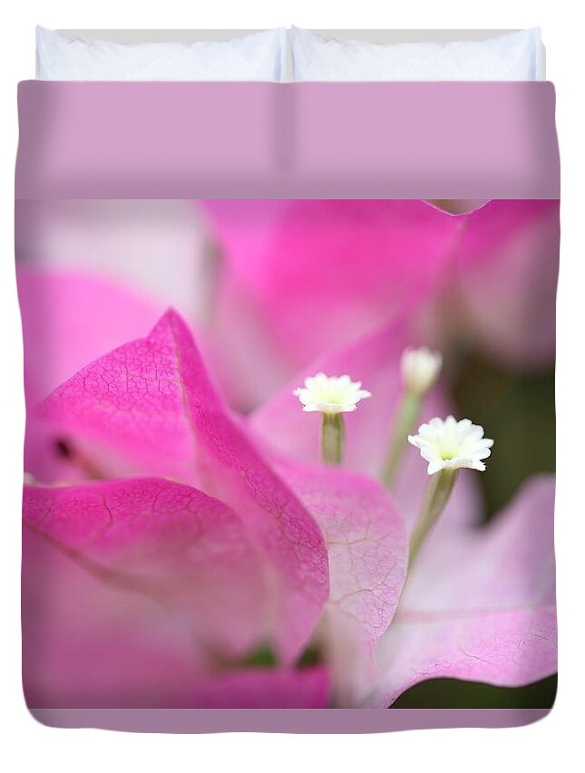 Bougainvillea Duvet Cover featuring the photograph Bougainvillea by Mingming Jiang