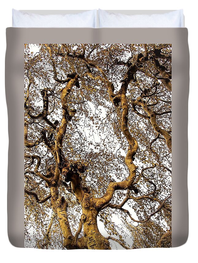 Tree Branch Sky Leaves Duvet Cover featuring the photograph Branch Sky by John Linnemeyer