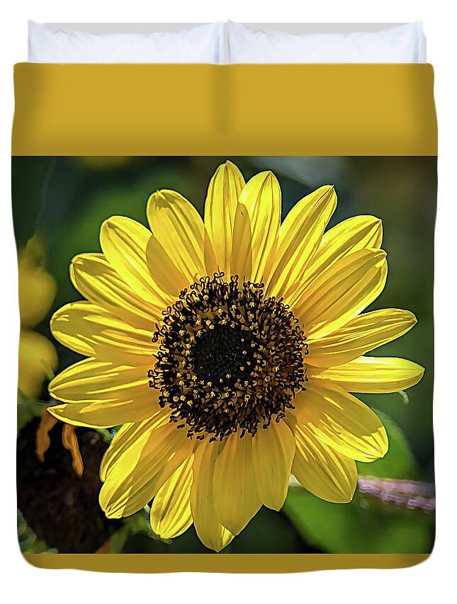 Helianthus Duvet Cover featuring the photograph Bright and Cheery Sunflower by Debra Martz