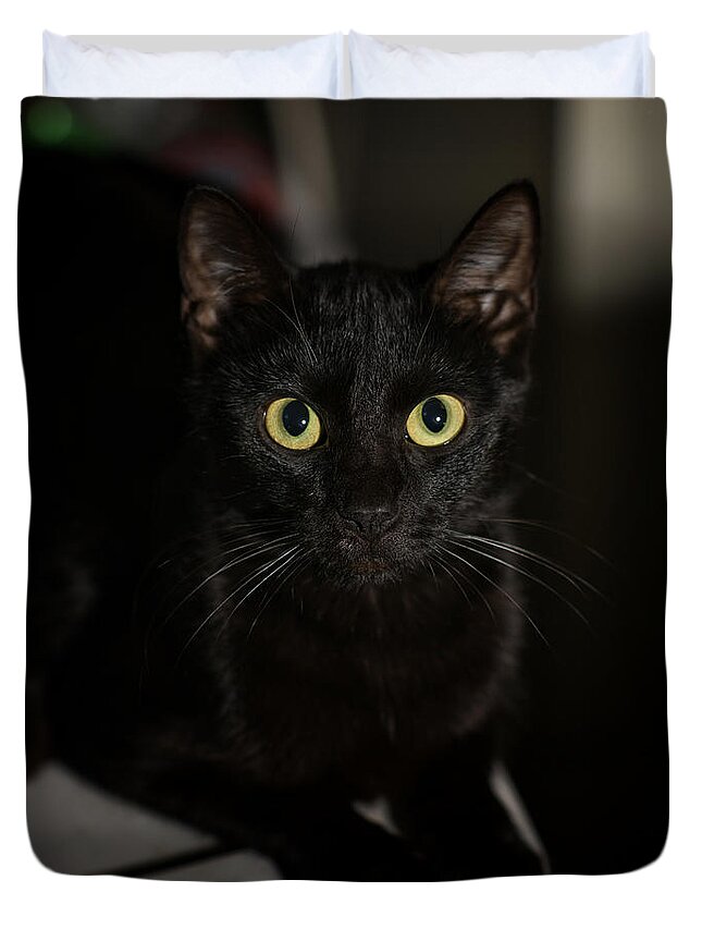 Cat Duvet Cover featuring the photograph Bright Eyes by DArcy Evans