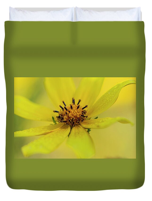 Yellow Duvet Cover featuring the photograph Bright Yellow Daisy by Karen Rispin