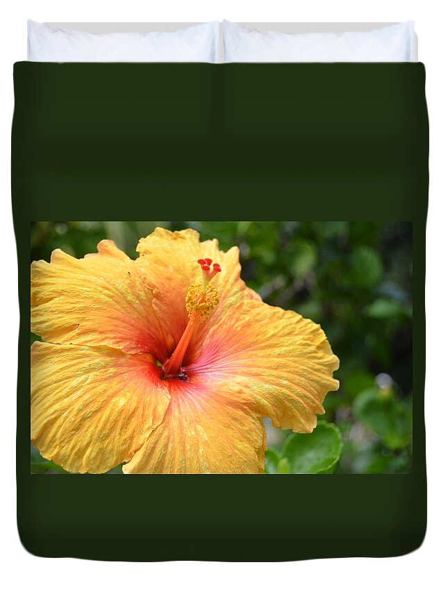 Flower Duvet Cover featuring the photograph Bright Yellow Red Hibscus by Amy Fose