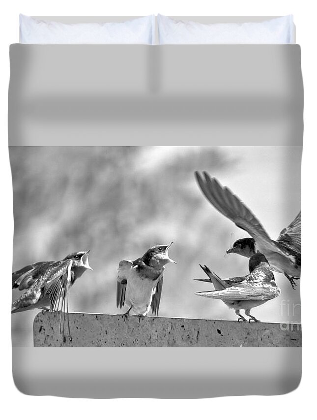 Swift Duvet Cover featuring the photograph Bringing Home The Dragonflies Black And White by Adam Jewell