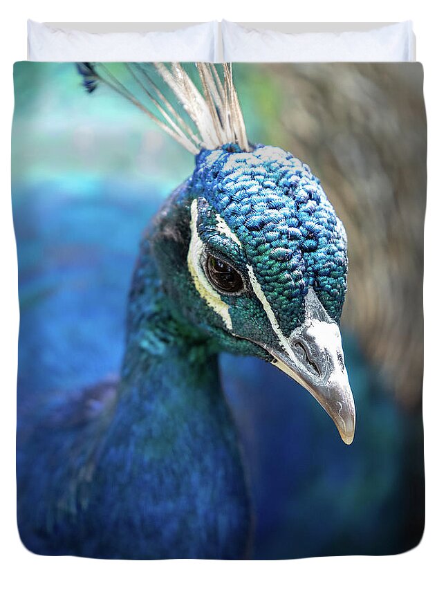 Bronx Zoo Duvet Cover featuring the photograph Bronx Peacock by Kevin Suttlehan