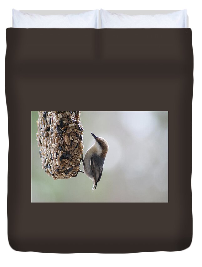 Bird Duvet Cover featuring the photograph Brown-headed Nuthatch by Heather E Harman