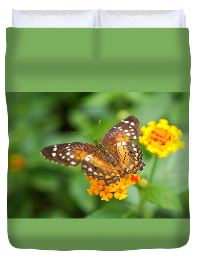 Butterfly Duvet Cover featuring the photograph Brown Peacock Butterfly by Rona Black