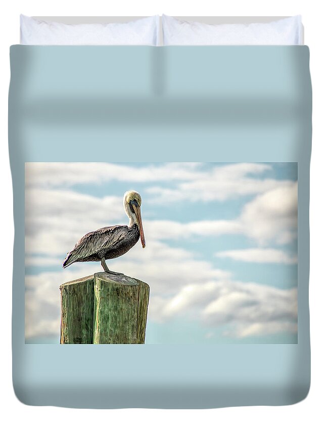 Pelican Duvet Cover featuring the photograph Brown Pelican at Dry Tortugas by Kristia Adams