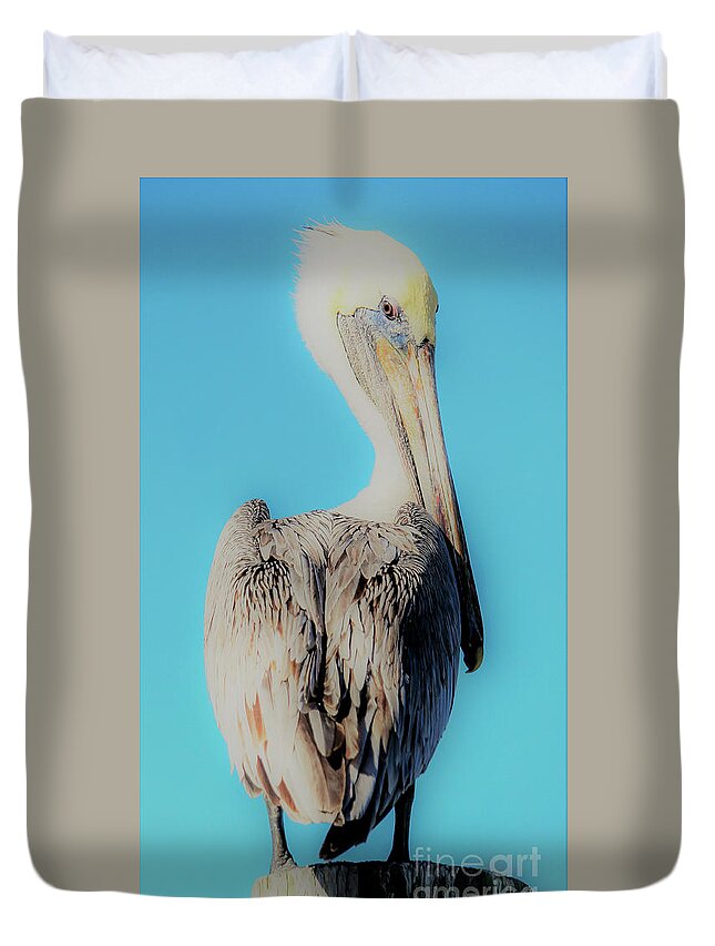 Brown Pelican Duvet Cover featuring the photograph Brown Pelican Beautiful by Joanne Carey
