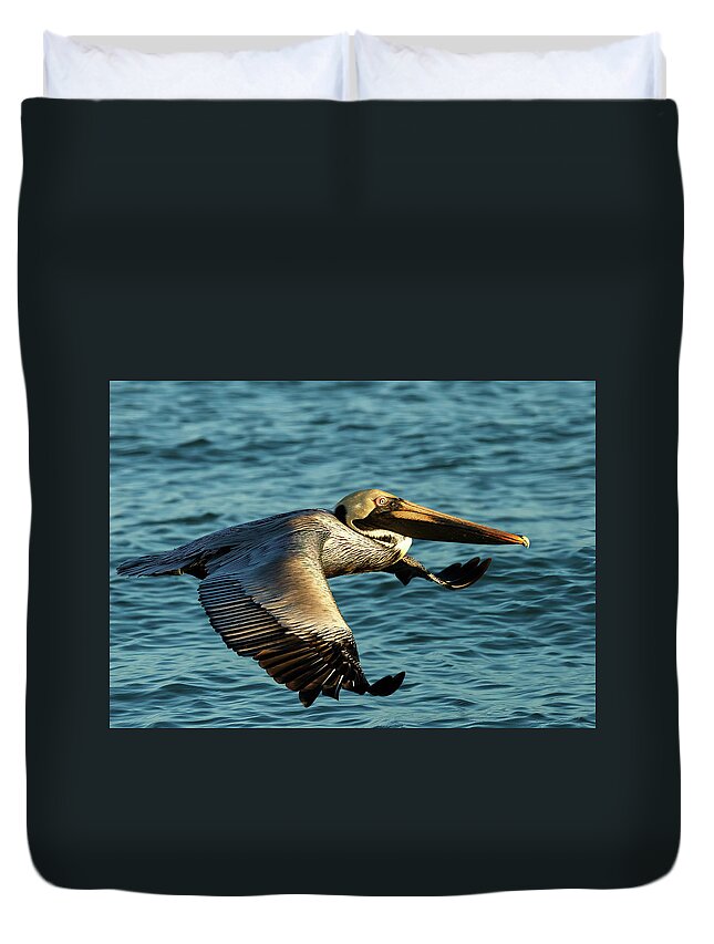 Birds Duvet Cover featuring the photograph Brown Pelican by David Lee
