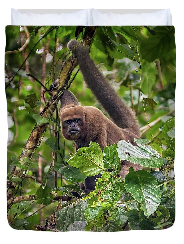 Amazon Duvet Cover featuring the photograph Brown woolly monkey - Humboldt's woolly monkey - Chorongo by Henri Leduc