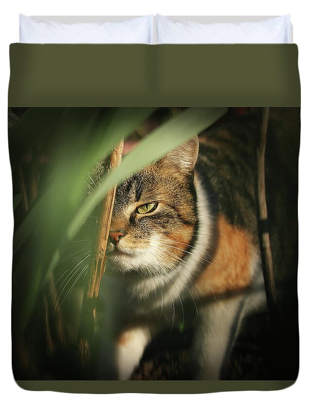 Liza Duvet Cover featuring the photograph Cruel look by domestic kitten walks through dense jungle by Vaclav Sonnek
