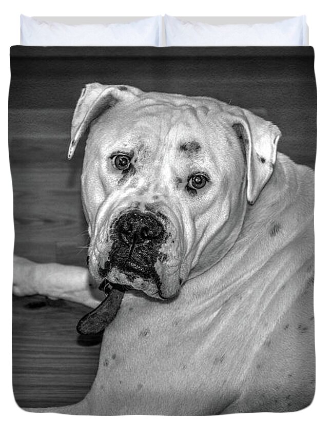 Bull Dog Duvet Cover featuring the photograph Brutus by Elaine Teague
