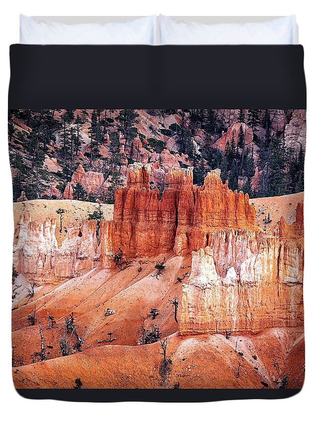 2020 Utah Trip Duvet Cover featuring the photograph Bryce Canyon Hoodoos by Gary Johnson