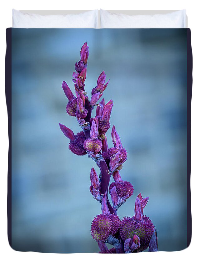 Flowers Duvet Cover featuring the photograph Budding Canna Lilies - purple by Frank Mari