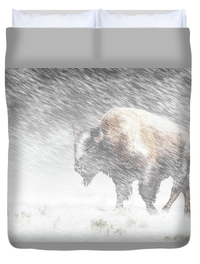 Snow Storm Duvet Cover featuring the photograph Buffalo in Winter Snow Storm in Yellowstone National Park by Randall Nyhof